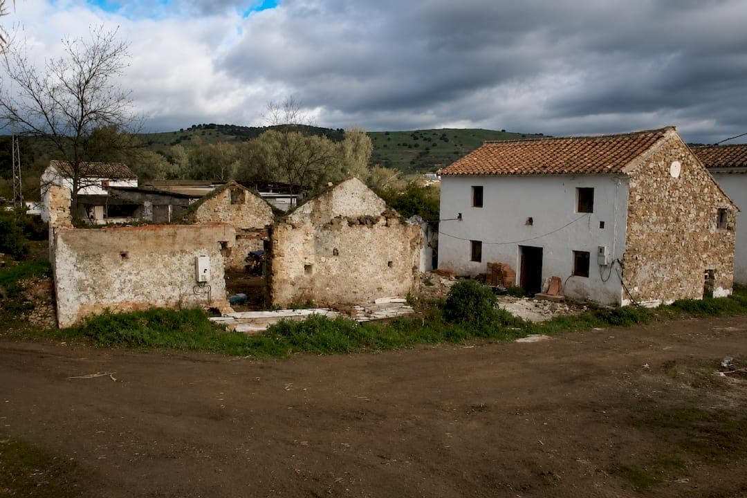 From Ruins to Romance: The Birth of Dragonfly Dream Weddings